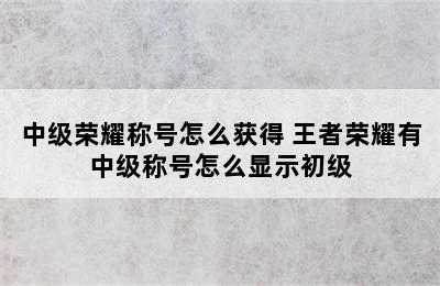 中级荣耀称号怎么获得 王者荣耀有中级称号怎么显示初级